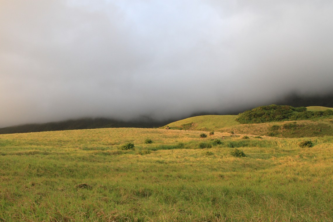 sunset_grass_and_mountainclouds
